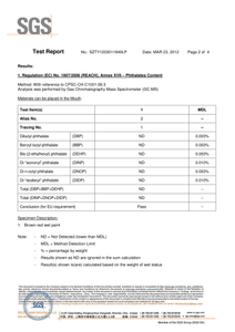 REACH Report (Phthalate)